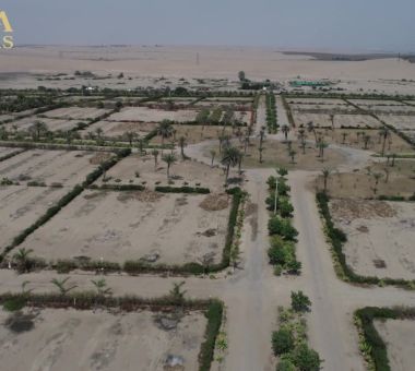 ¡TERRENOS EN PARACAS 1,200M2-ENTREGA INMEDIATA! 🌵🔥