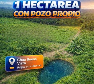 Terreno en Venta &ndash; Paij&aacute;n | 1 Hect&aacute;rea